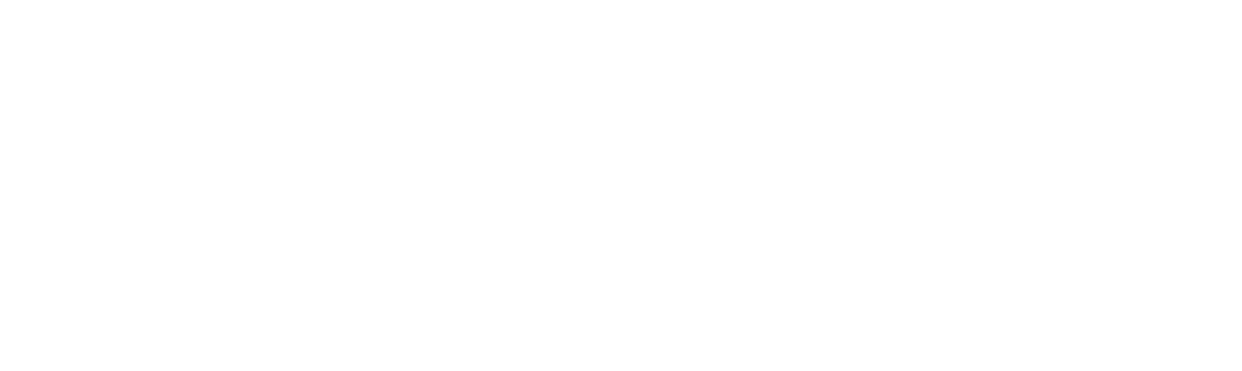 rbi-logo-logo-white