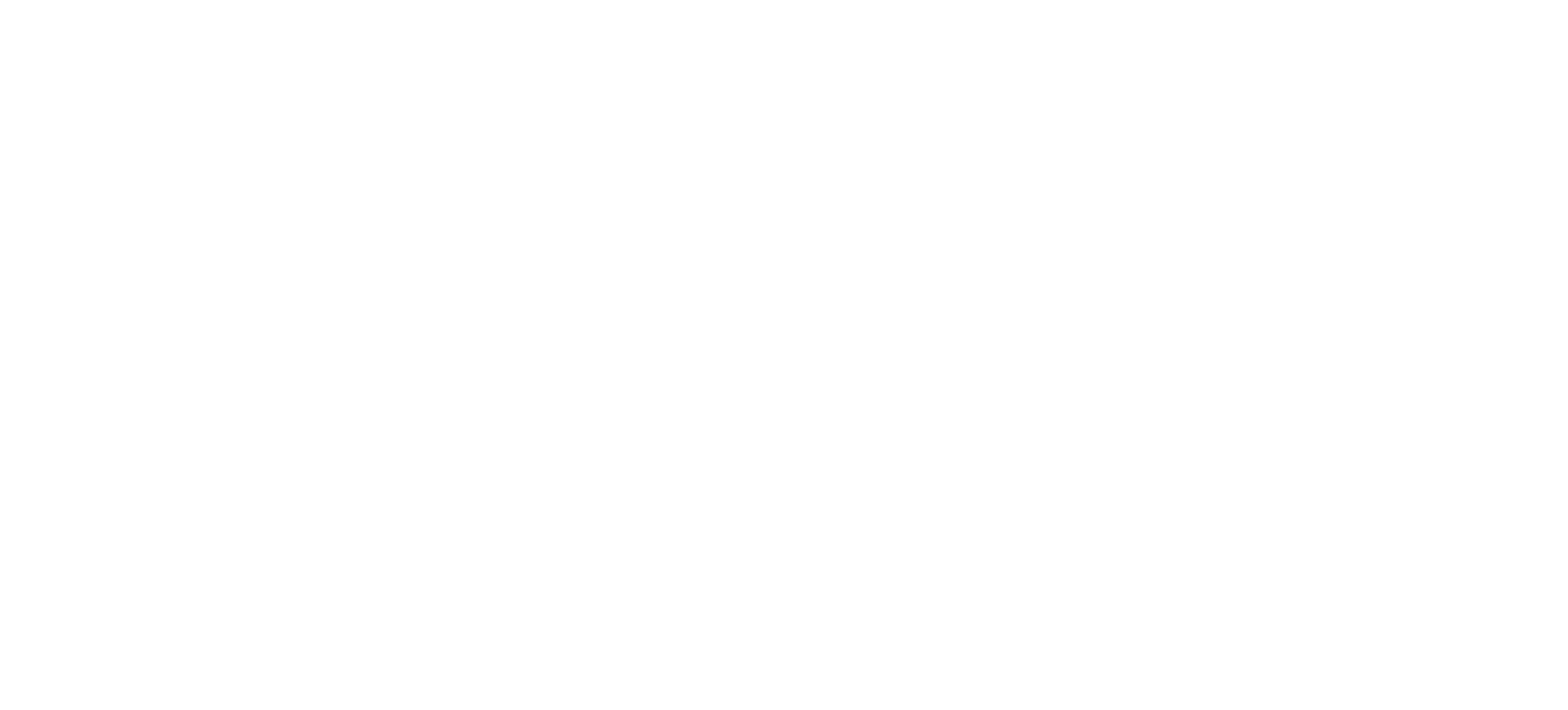 sonic-logo-white